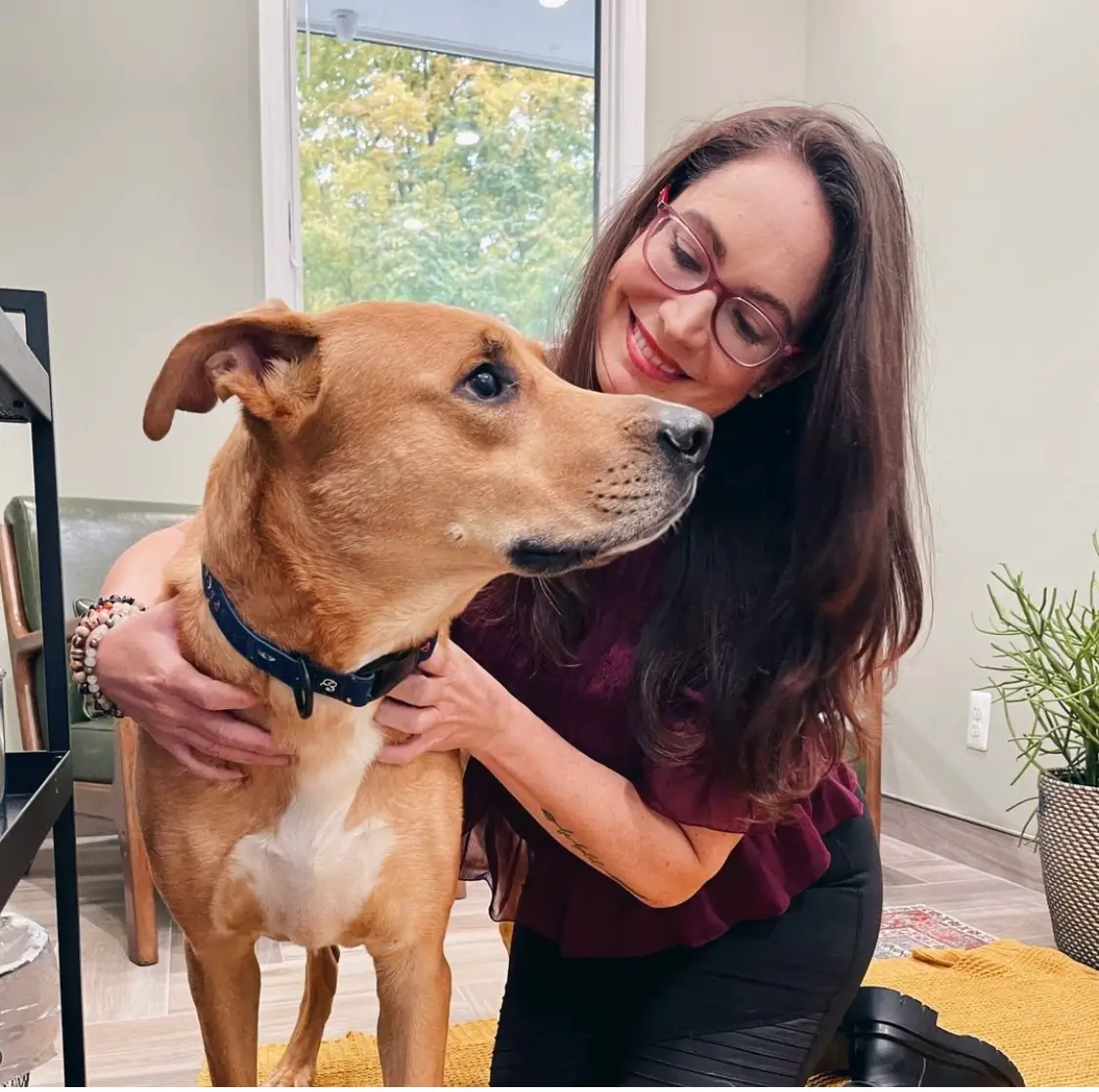 canine sports massage