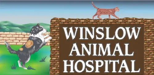 winslow animal hospital